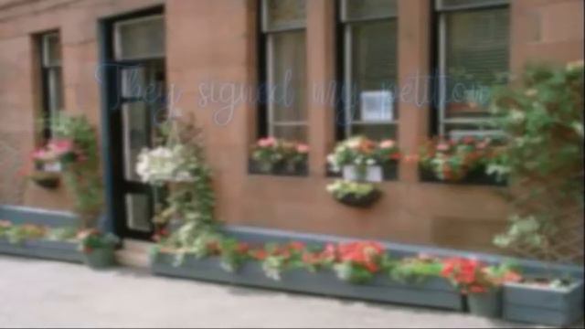 ''Flower Power'' written & performed by Nell Brennan смотреть онлайн