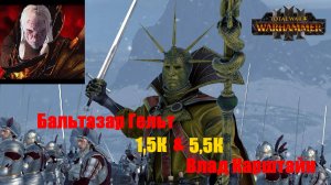 Total War Warhammer 3⚔️#4. Бальтазар Гельт vs Влада Карштайна⚔️7К юнитов