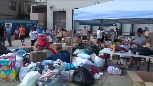 Lisa Dietlin on WGN News at 10 ~ Fighting "Charity Fatigue" in overwhelming times смотреть онлайн