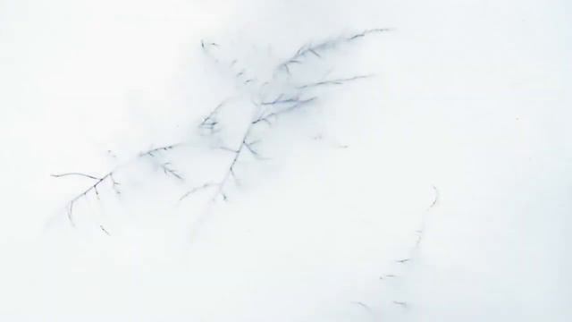 Soledad sonora, de Josep Soler