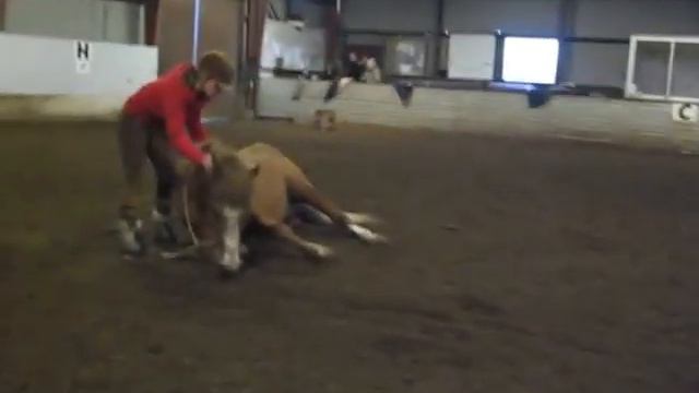 ramses 21 snubler смотреть онлайн