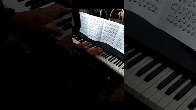 🎹 Playing "Wanderlied op.8 no.4" by Fanny Mendelssohn смотреть онлайн