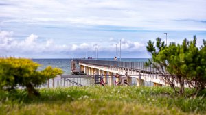 Зеленоградск. Парк. Море.