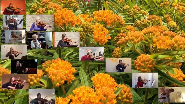 Patterns by William Grant Still, Lansdowne Symphony Orchestra 2021 смотреть онлайн