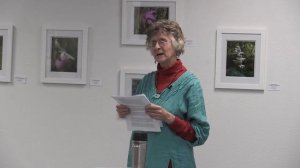 02.25.2016 MAFAC Elizabeth Blair Bog Tapestries Photography Talk