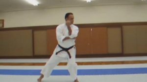 Israel Shotokan Eli Cohen   Tekki Sandan Front view   Slow