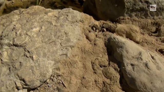 Ottimizzare le risorse idriche смотреть онлайн