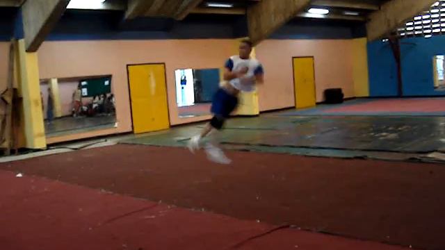 wushu: alfredo fuenmayor venezuelan