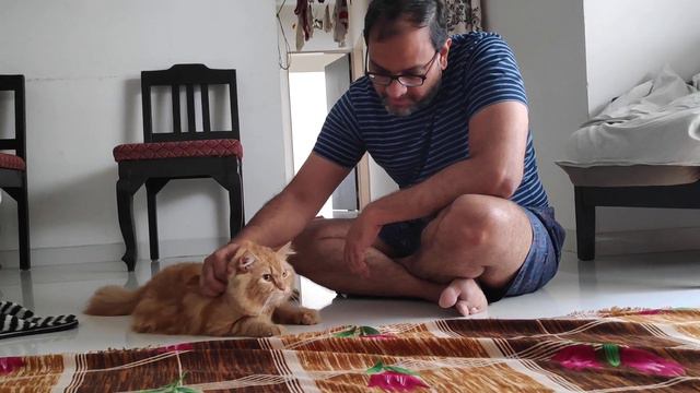 leo bassi смотреть онлайн