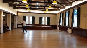 Waltz Workshop March 2017