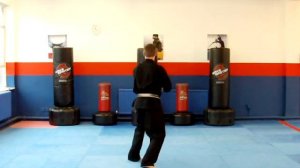 KARATE KATA 1.MOV