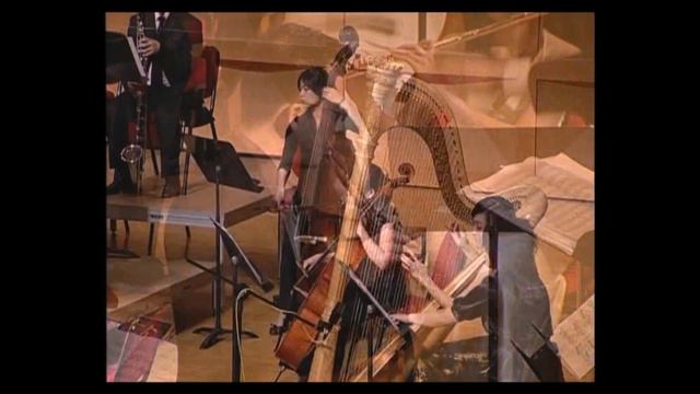 G. BriccialdiFlute Concertino No. 2  op. 48 mov.  III