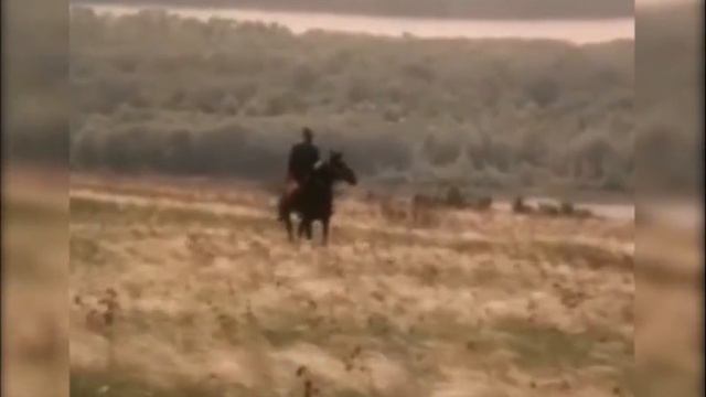 Фемій Мустафаєв. Іван Франко. Безмежнеє поле смотреть онлайн