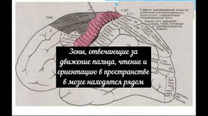 чтение с помощью указательного пальца