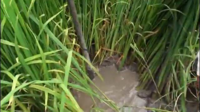 13 Anh Hung Phi Công Nguyen Van Bay Lap vo DT смотреть онлайн