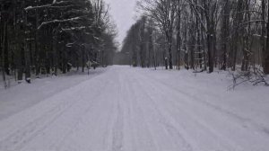 Tug Hill Snowmobiling 3/23/24 - Best Conditions of the Year!!  - Jesse James Sighting in the Wild!