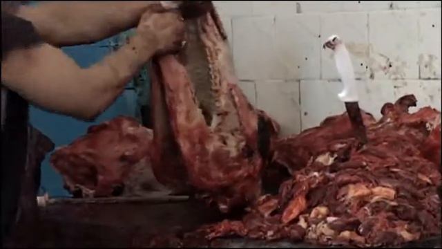 Uit het hart van Odessa смотреть онлайн