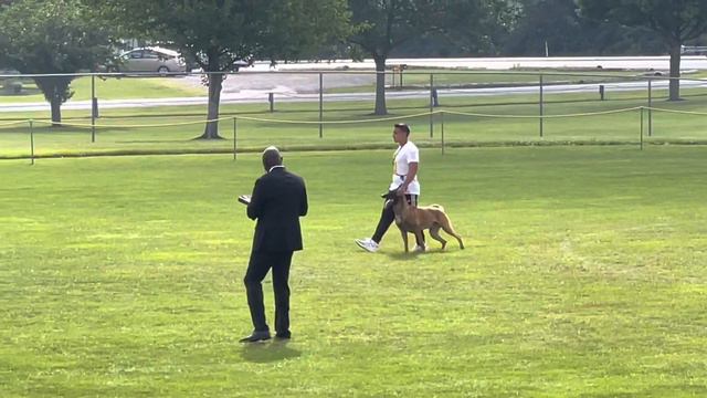 Mark Saccoccio and Hector AWDF 2021 PROT  90 points смотреть онлайн