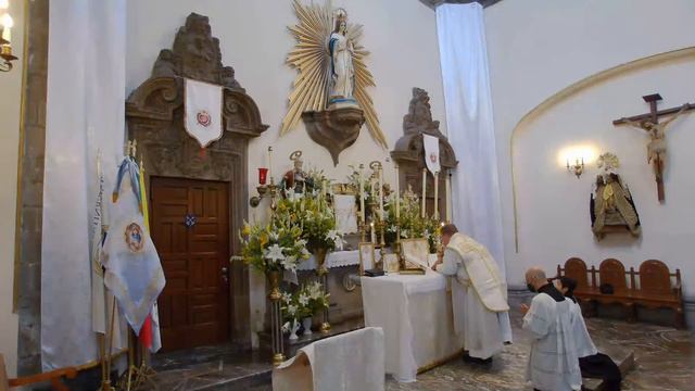 FSSP. Santa Misa Tradicional en Latín. 12 p.m. Viernes 17 de junio de 2022. смотреть онлайн
