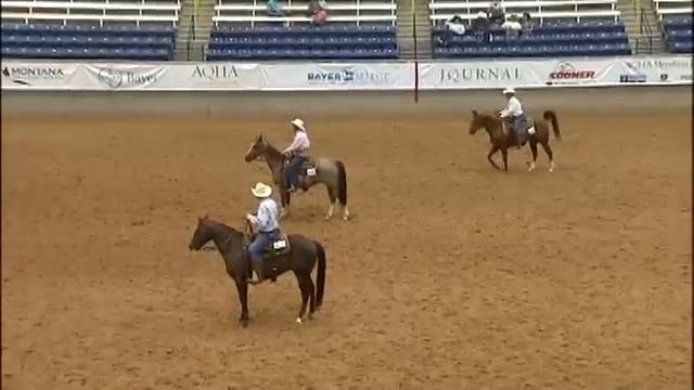 2009 AQHA Bayer Select World Show - Tommy Bale Team Penning Preliminaries смотреть онлайн