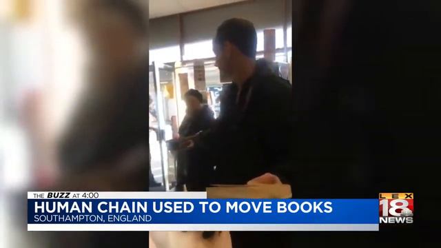 The Buzz At 4: October 30, 2018 смотреть онлайн