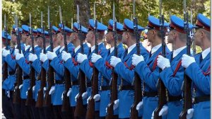 Vojska Srbije  Operacija АПИС 2008