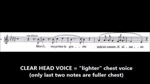 COLLAPSED vs. CLEAR head voice - Price vs. Price