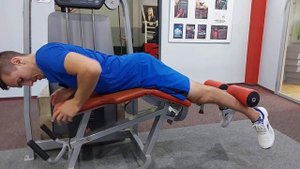 Сгибания Голени лежа по 1 ноге
