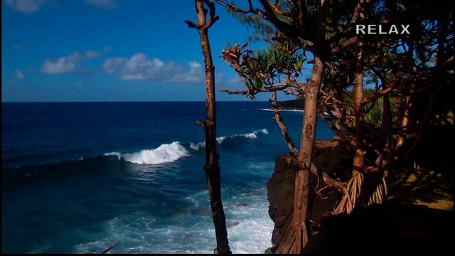 BLANK AND JONES - HD Relax Video "Florent 2 A.M." смотреть онлайн