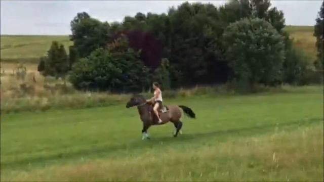 Follow your heart смотреть онлайн