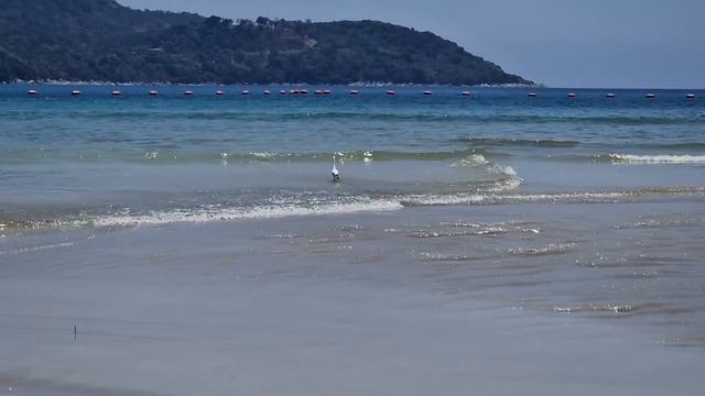 ТАЙЛАНД. ПХУКЕТ. ОТЕЛЬ *BEYОND KATA 4*, **РЕЛАКС.Бояться..это нормально,но я выбираю Жить в доверии смотреть онлайн