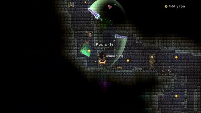 Terraria:Топ аксессуаров и оружия для воина