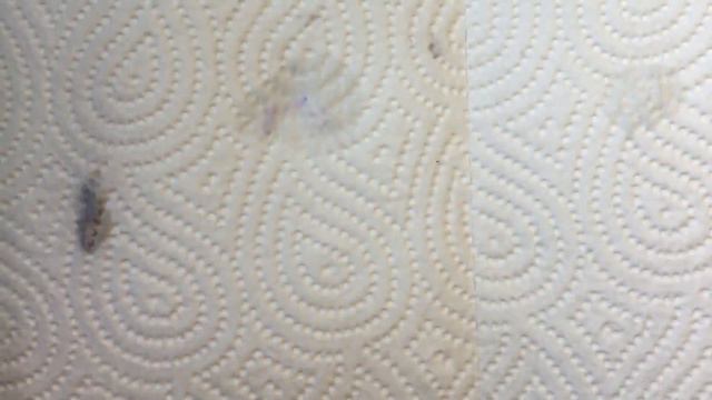 Feminin spring nails | New Moyra Lacelove 3 смотреть онлайн