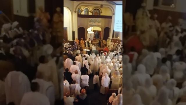 20181229_111534.mp4 смотреть онлайн