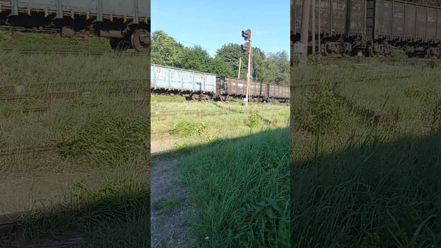 Trains потяги вантажні поїзди пасажирські дизельні електрички