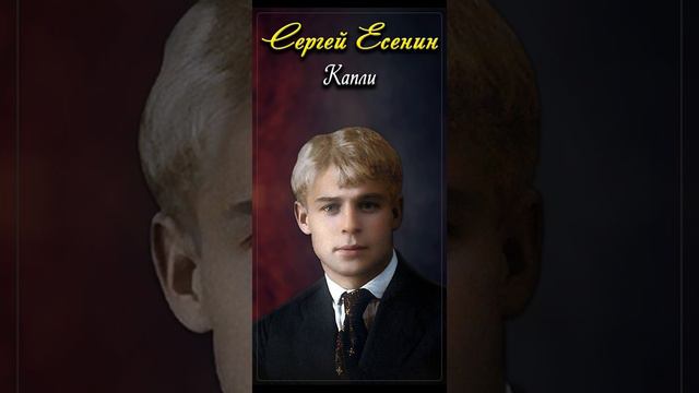 Капли - Сергей Есенин (читает Игорь Ильин) #shorts