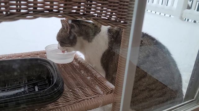 30- Whisper lem, lem, lem, lem, lem ... смотреть онлайн