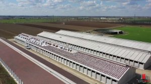 Evoteck - Allevamento ingrasso suini - Finishing pig farm - Свинокомплекс откорма свиней