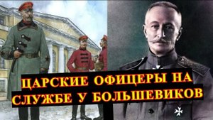 Сколько бывших царских офицеров оказалось у красных?