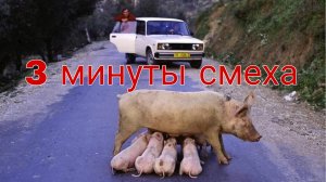 Автоприколы и смешные ситуации на дорогах #83