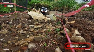 Rc car MN99S & MN99 D90 RTR - Tancap Gass