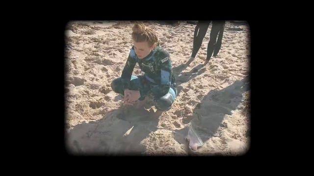 Bette Davis Eyes - Tropical House Mix - David Lazarus Music Video (Kim Carnes Cover) смотреть онлайн