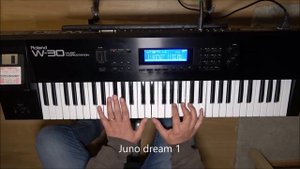 Roland W30 - New Sample EPROM "Vintage Analog"