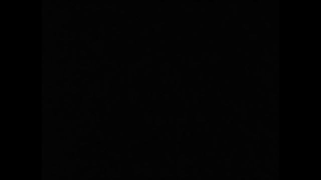 The President (1919) by Carl Theodor Dreyer, Clip: Homage to Whistler’s Mother in Grey and Black смотреть онлайн