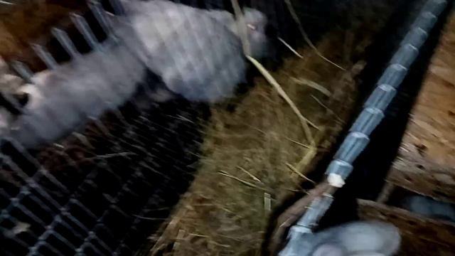 Прибавление! Немного обо всем.