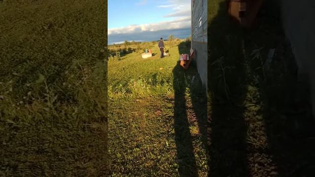 Его величество Роберт Артурович смотреть онлайн