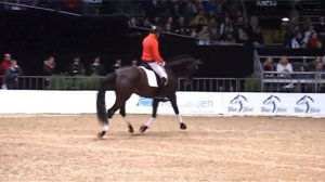 Edward Gal: How to Give Rein on the Dressage Horse