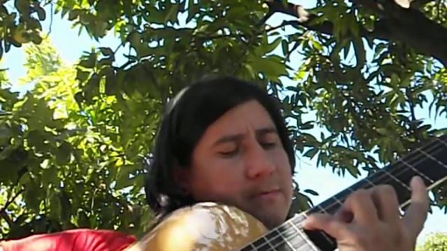 las abejas (agustin barrios) por ruben bobadilla смотреть онлайн