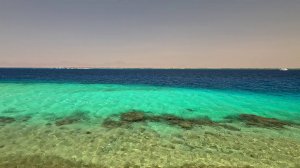 Подводный мир Красного моря