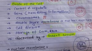 Overview of cell || Nucleus|| structure and functions || our preparation board|| for all exam